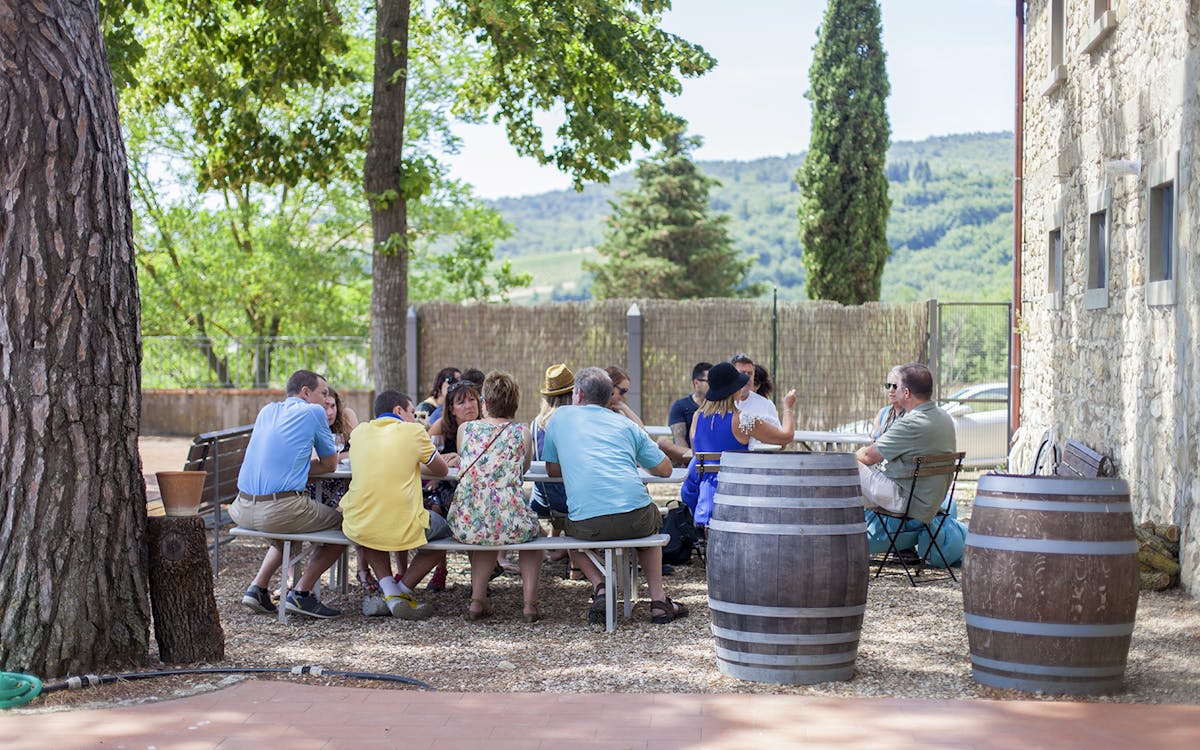 guided immersive wine & olive oil experience in chianti-6 guided immersive wine & olive oil experience in chianti-6