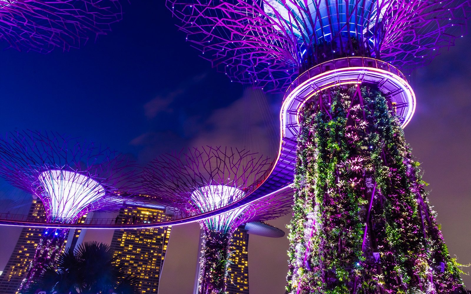 Garden By The Bay Light Show