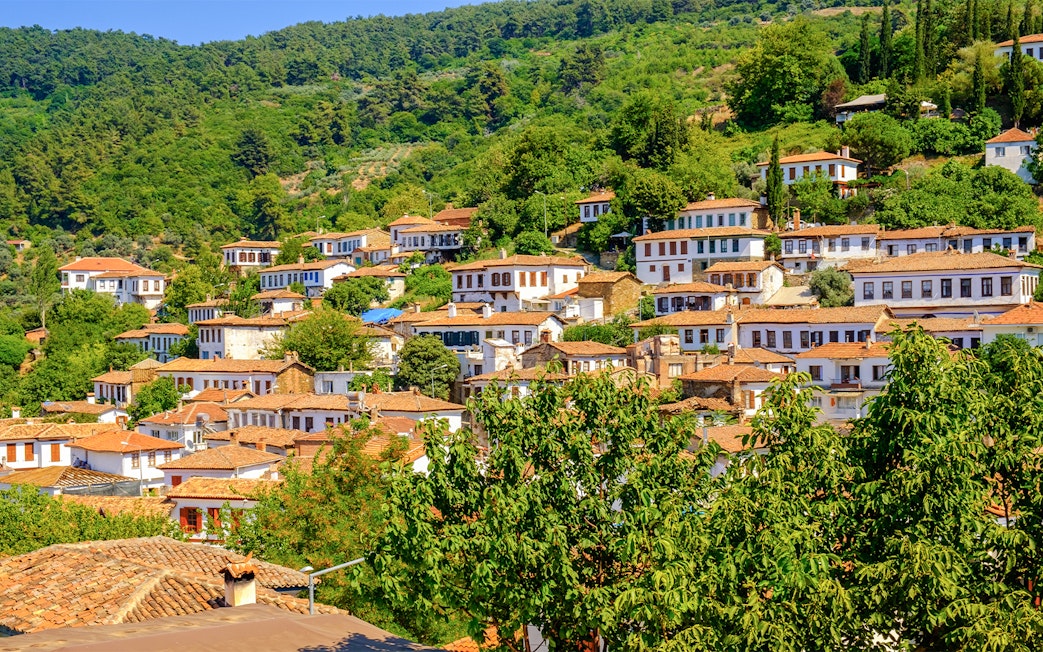 Sirince Village hillside view with traditional houses, part of Private Ephesus and Sirince Village Tour from Kusadasi.