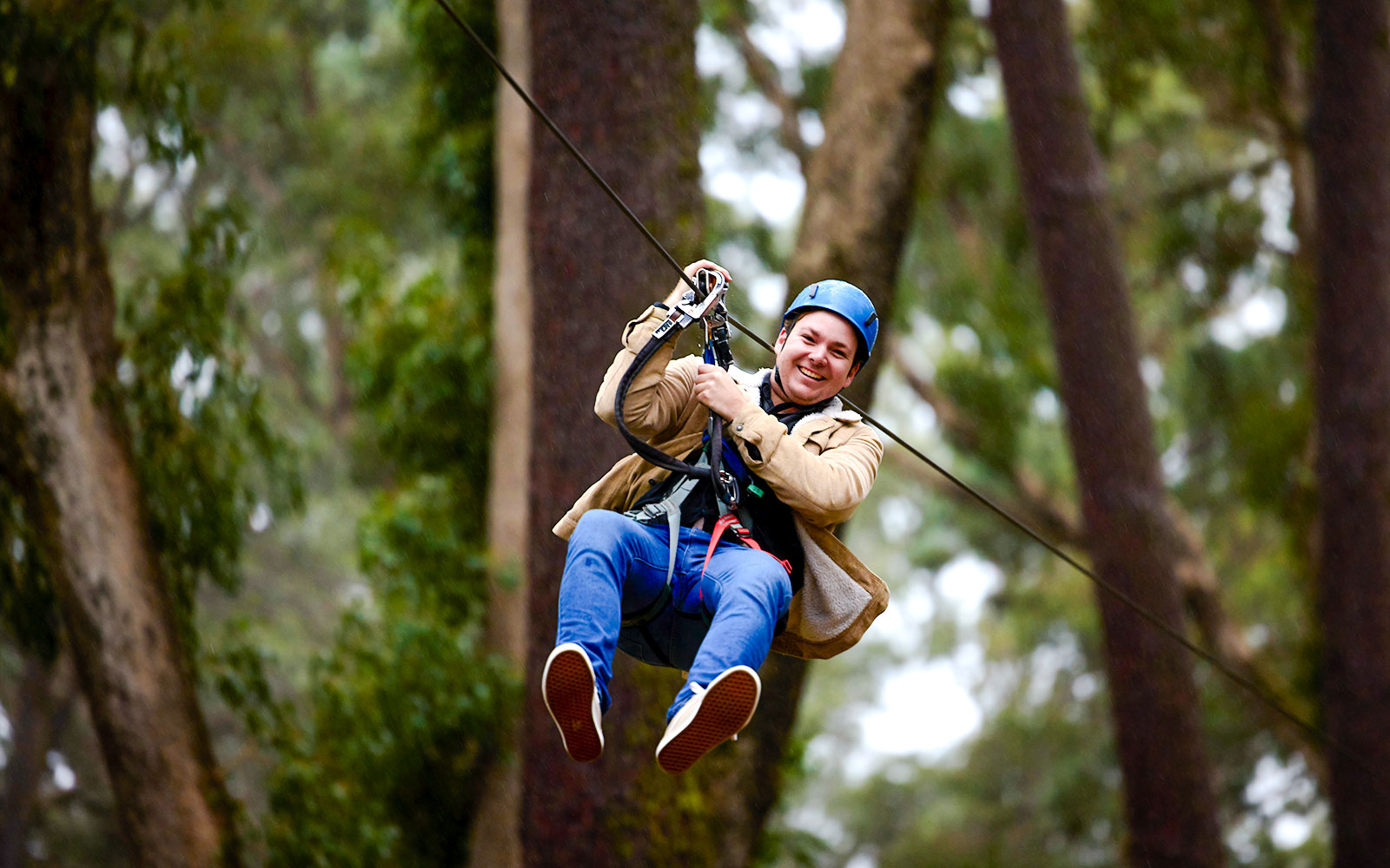 Ziplining through Ludlow Tuart Forest, Western Australia.