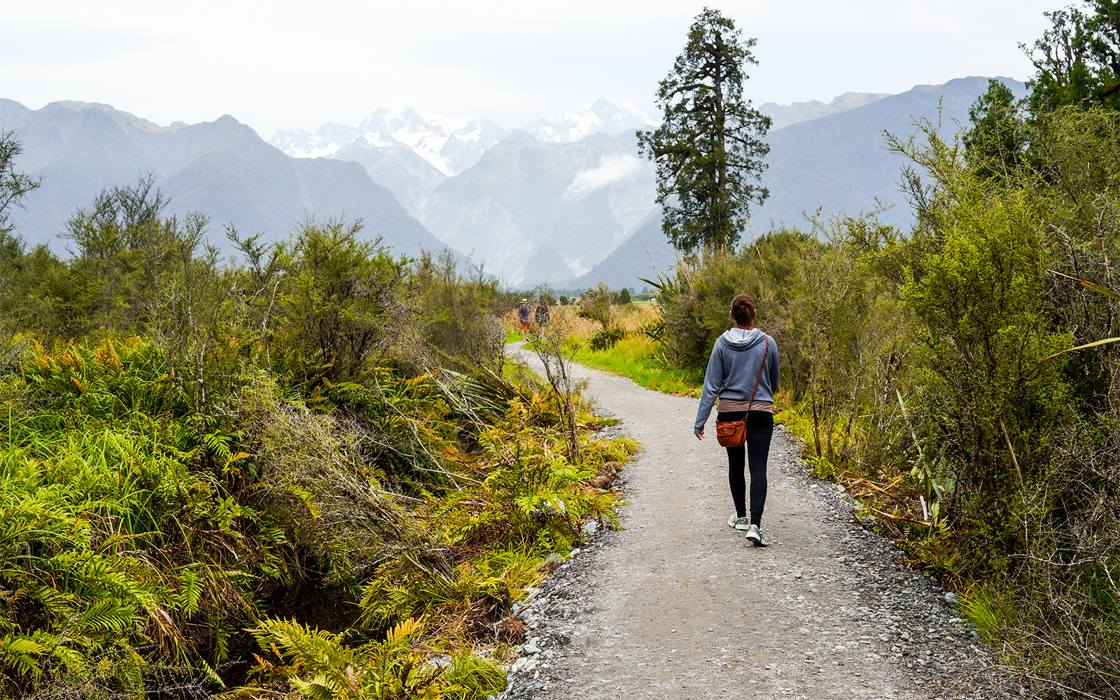 Lake Matheson walk