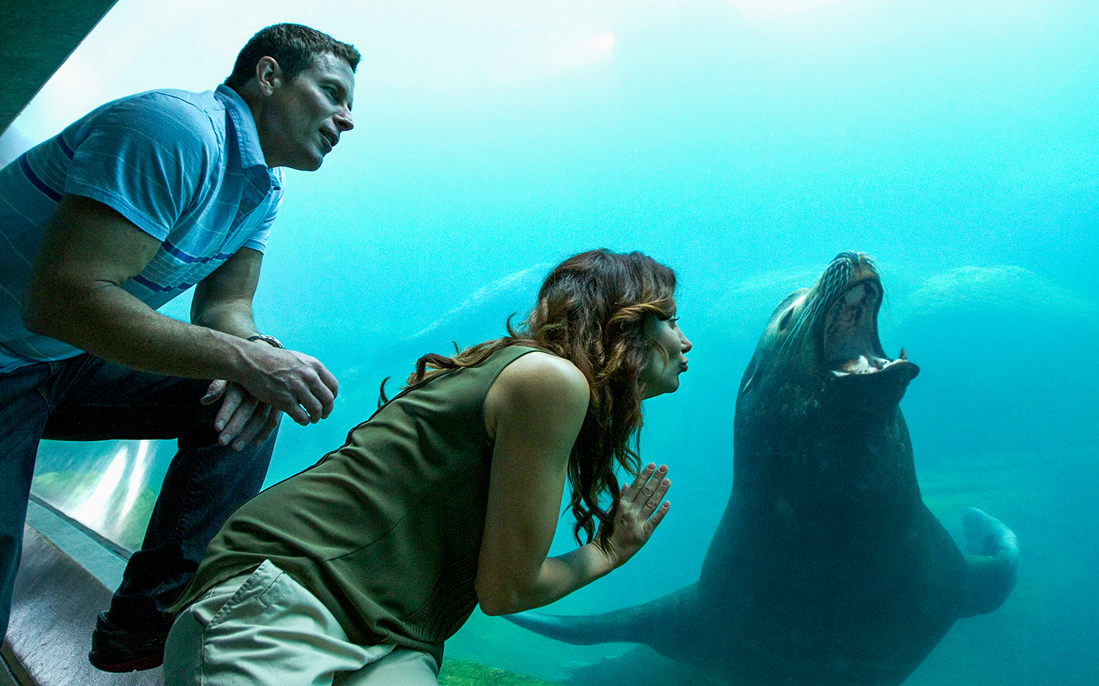Visitors observing sea lion at Aquarium of the Pacific.