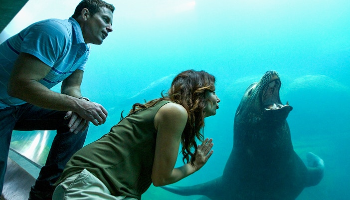 Visitors observing sea lion at Aquarium of the Pacific.