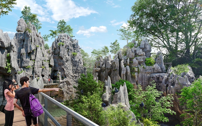 Couple observing langurs in a lush Asian rainforest setting.