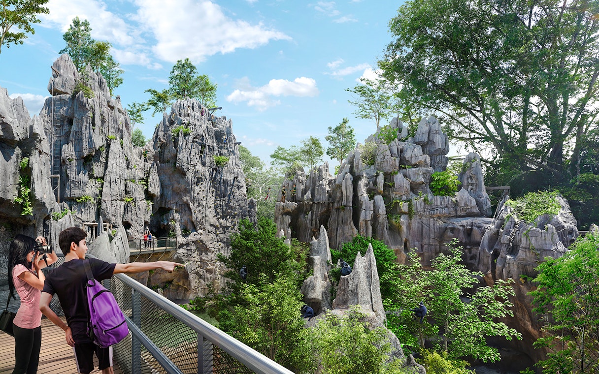 Couple observing langurs in a lush Asian rainforest setting.