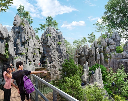 Couple observing langurs in a lush Asian rainforest setting.
