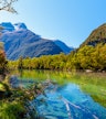Arthur River Valley Floor