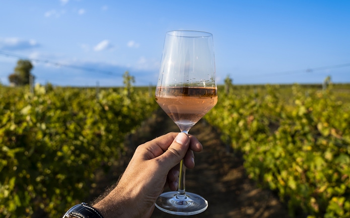 Hand holding a glass of rosé wine in a Chianti vineyard during an e-bike tour.