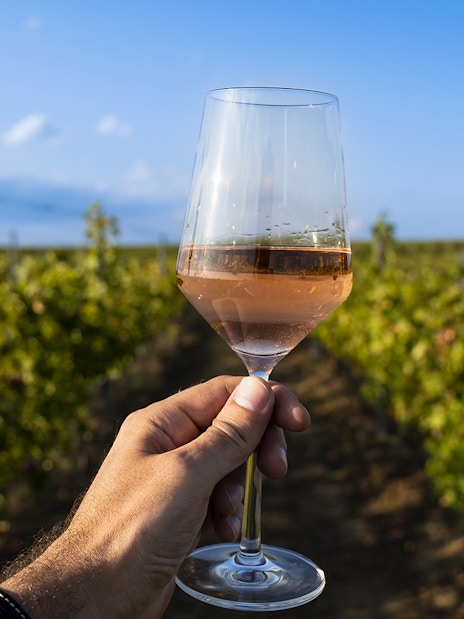 Hand holding a glass of rosé wine in a Chianti vineyard during an e-bike tour.
