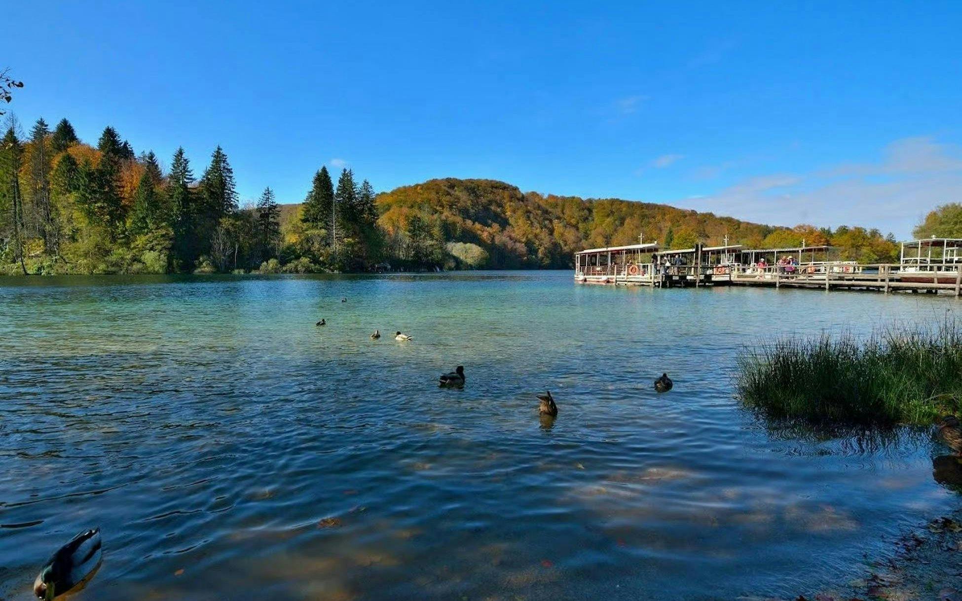 Plitvice Lakes with ducks and boats on a clear day, Croatia.