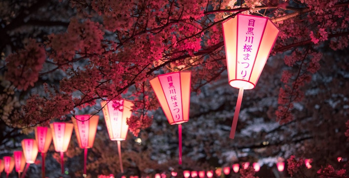 Illuminated lanterns among cherry blossoms at Cherry Blossom Festival, Japan.