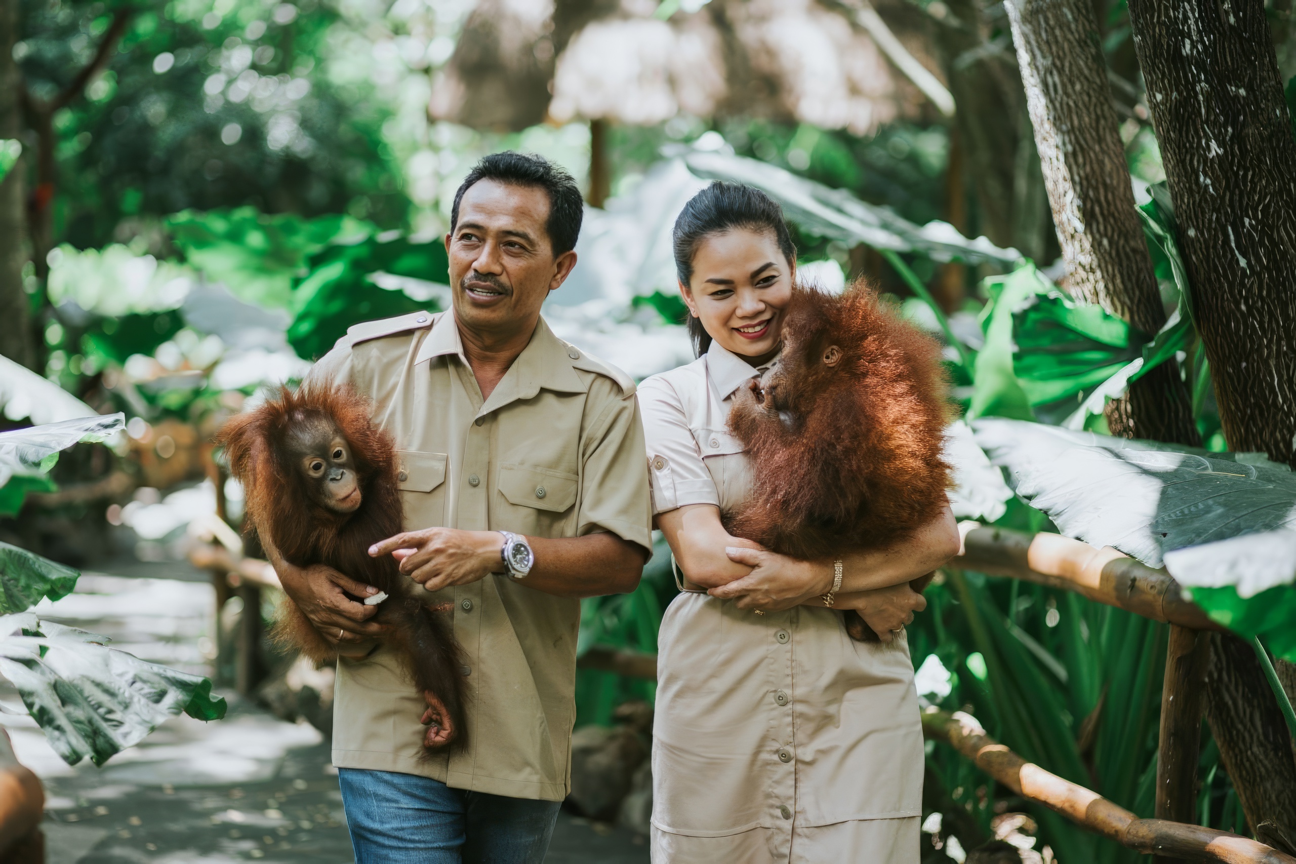 Guides holding orangutans at Lombok Wildlife Park.