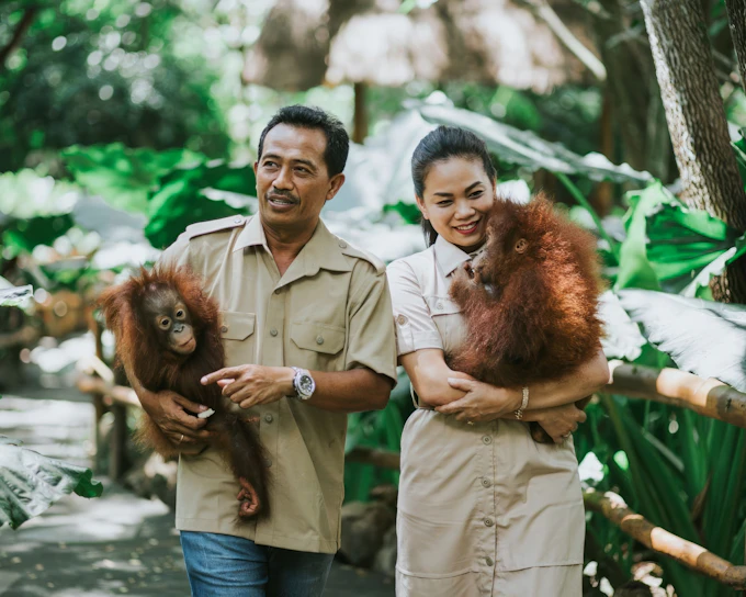 Lombok Wildlife Park Tickets with Orangutan Interaction