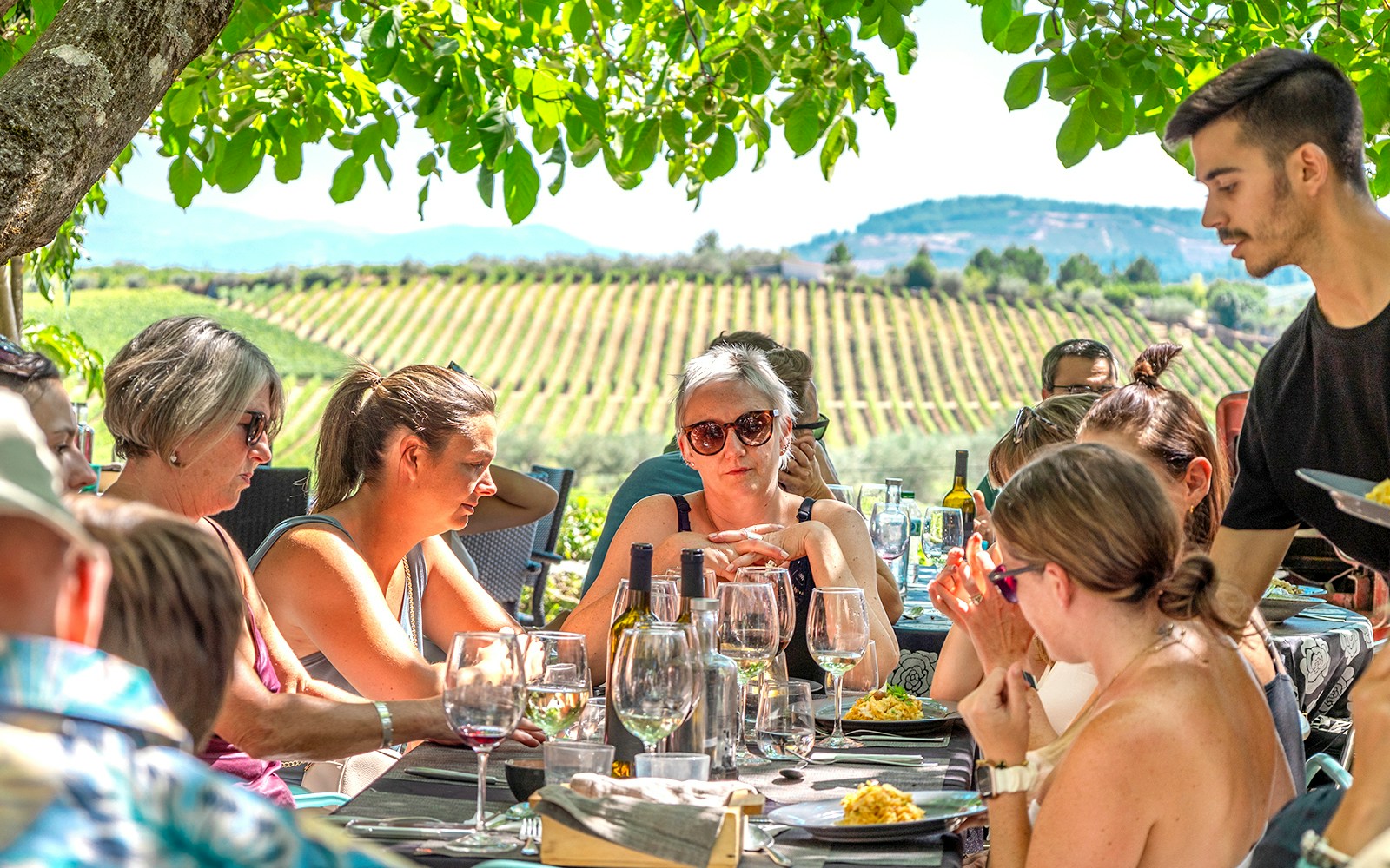 Group enjoying lunch and wine tasting under a tree in Douro Valley vineyard.
