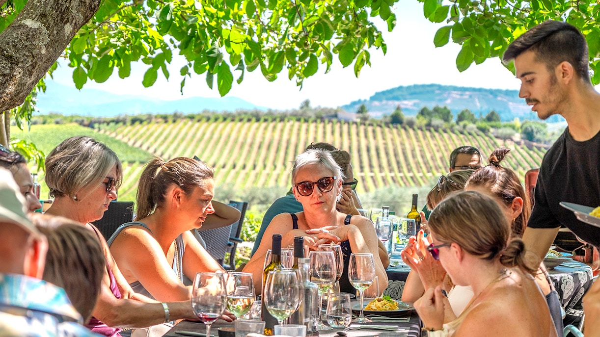 Group enjoying lunch and wine tasting under a tree in Douro Valley vineyard.
