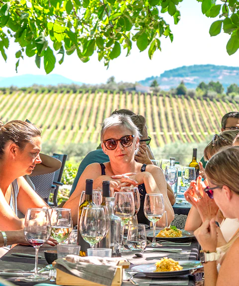 Group enjoying lunch and wine tasting under a tree in Douro Valley vineyard.