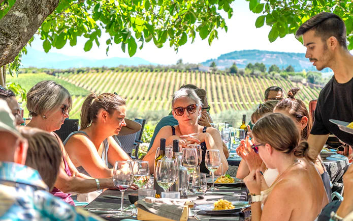 Group enjoying lunch and wine tasting under a tree in Douro Valley vineyard.