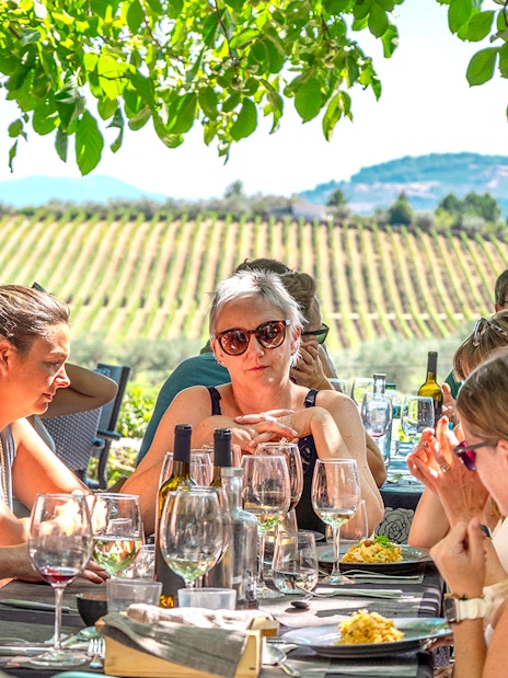 Group enjoying lunch and wine tasting under a tree in Douro Valley vineyard.