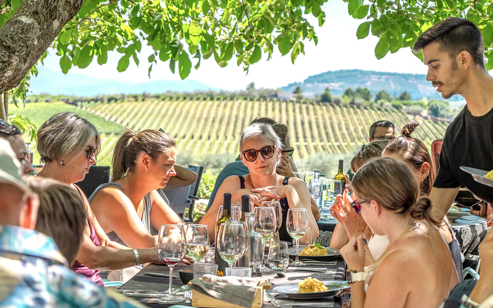 Group enjoying lunch and wine tasting under a tree in Douro Valley vineyard.