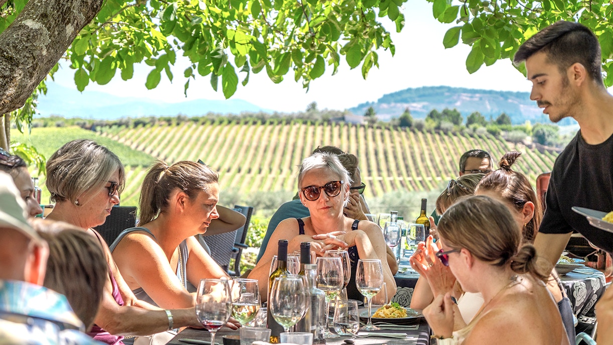 Group enjoying lunch and wine tasting under a tree in Douro Valley vineyard.