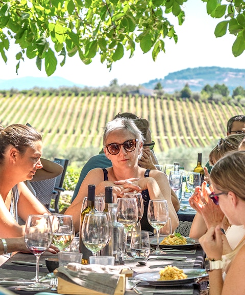 Group enjoying lunch and wine tasting under a tree in Douro Valley vineyard.