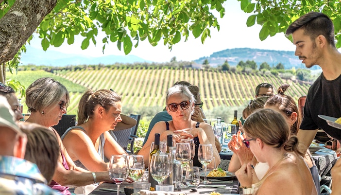 Group enjoying lunch and wine tasting under a tree in Douro Valley vineyard.