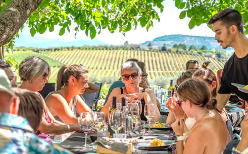 Group enjoying lunch and wine tasting under a tree in Douro Valley vineyard.