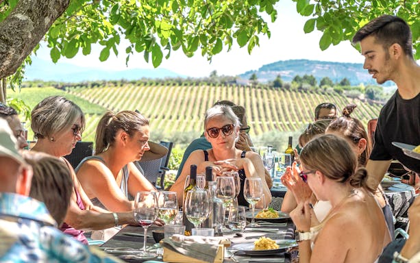 Group enjoying lunch and wine tasting under a tree in Douro Valley vineyard.