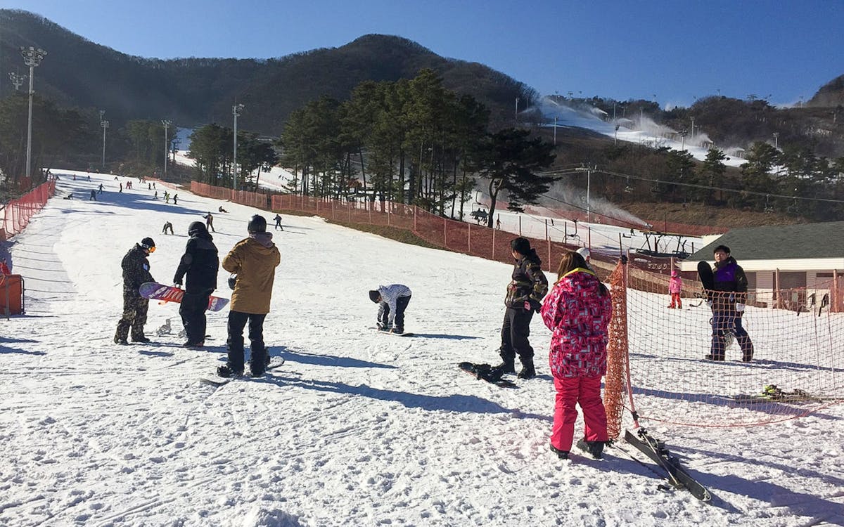 day tour of jisan forest ski resort from seoul-2 day tour of jisan forest ski resort from seoul-2