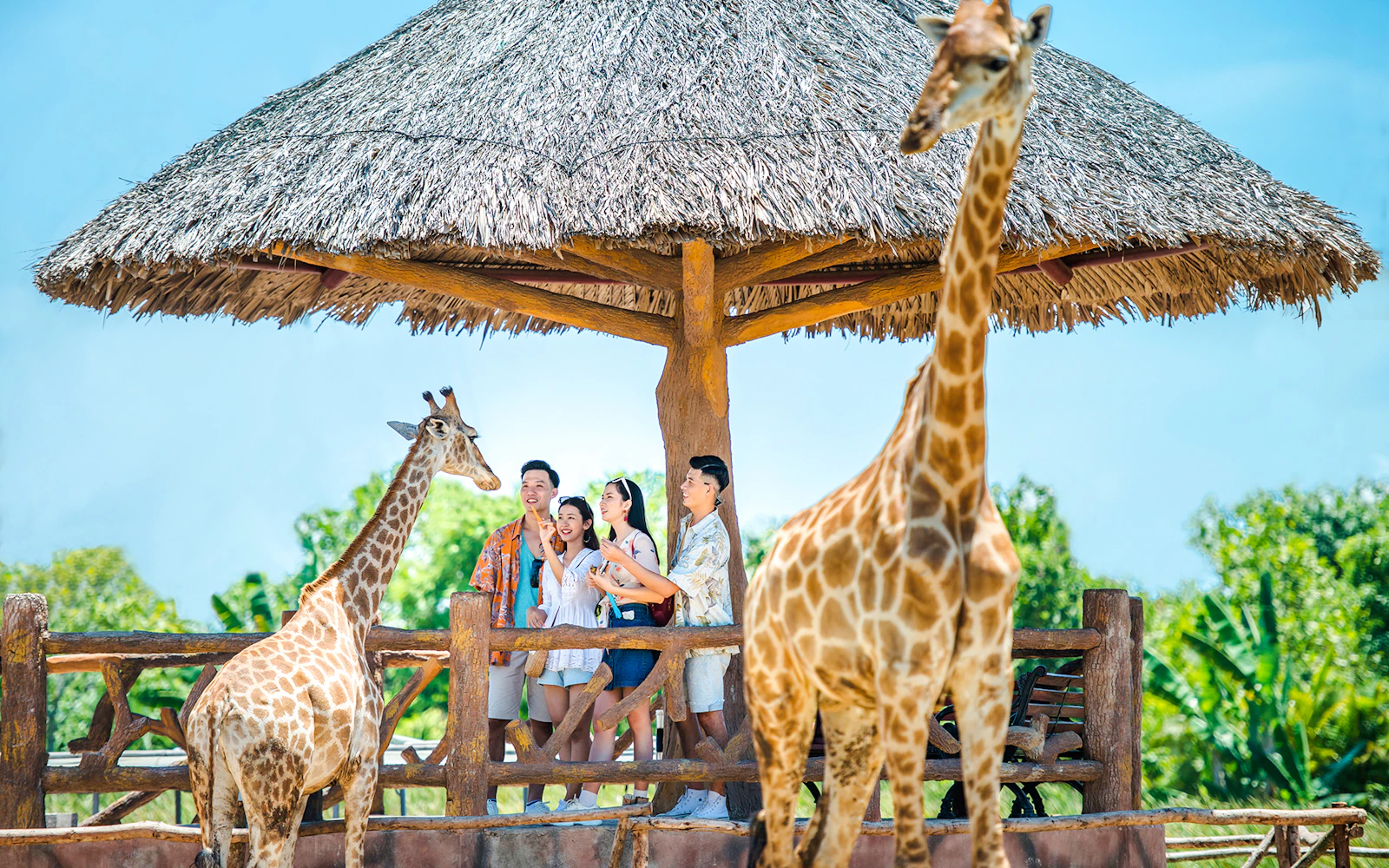 VinWonders Nam Hoi An Theme Park Tickets with Private Round-Trip Transfers Image 2