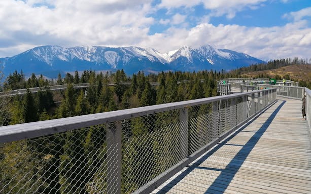 Treetop walkway with mountain views in Slovakia's Tatra National Park.