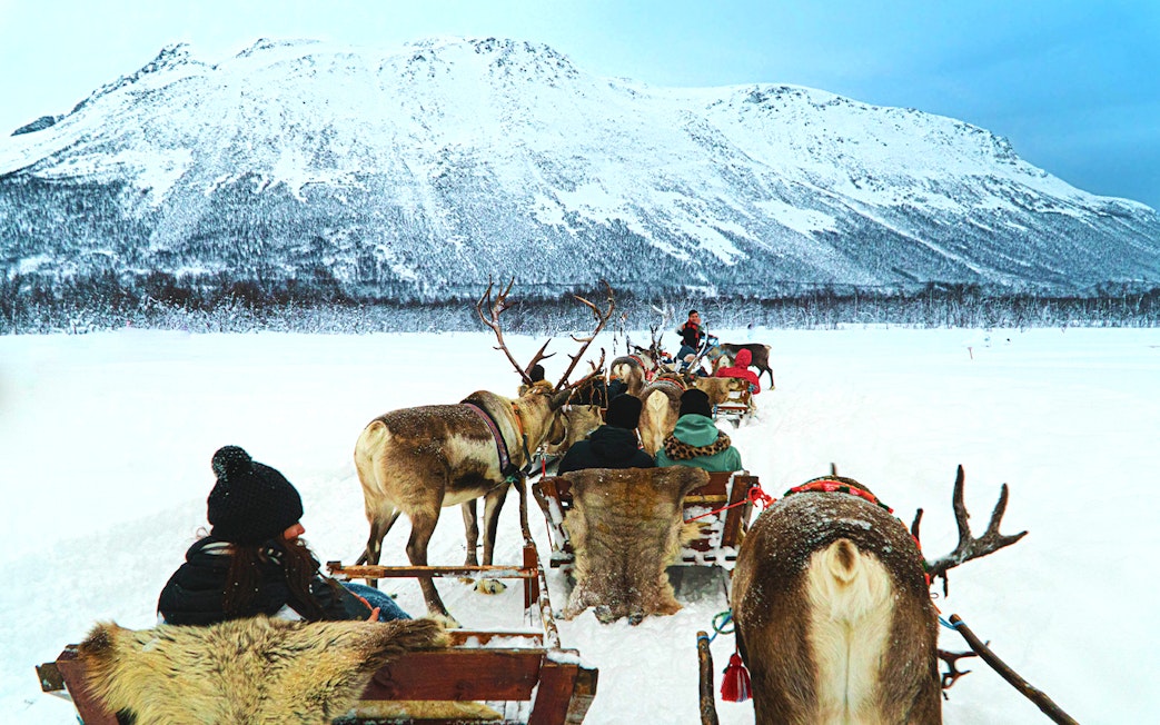 Reindeer sledding through snowy landscape with mountains, showcasing Sami culture experience.