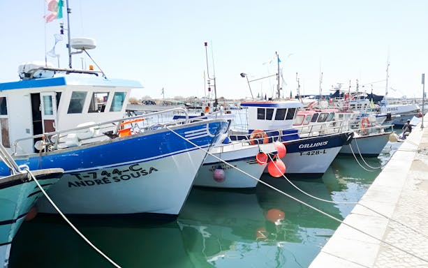 Fishing boats docked at a marina in Eastern Algarve during a guided tour.
