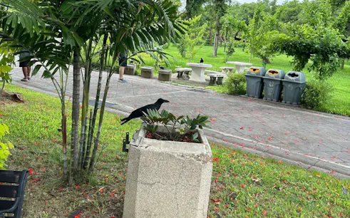 Park scene in Bangkok's Old Town with a crow on a planter, benches, and greenery.