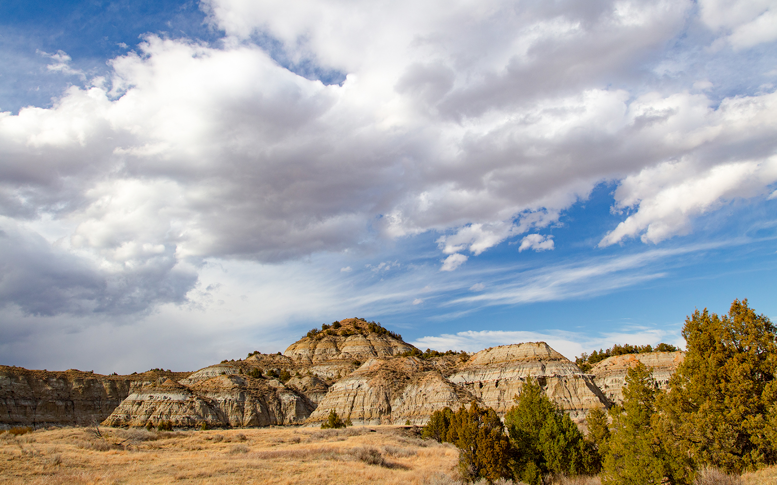 Badlands landscape in Theodore Roosevelt Park under a cloudy sky.