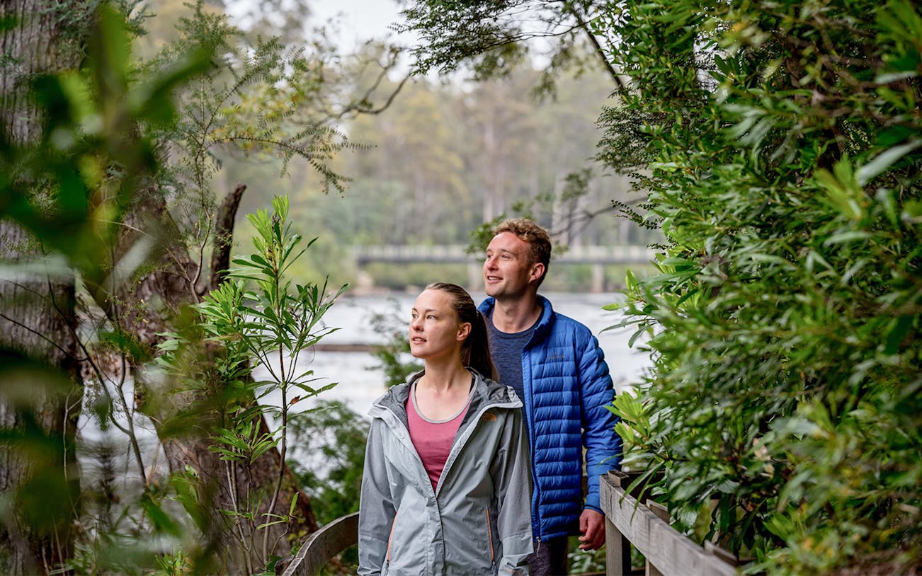 Couple walking through lush forest on a trail in Huon Valley, Tasmania.