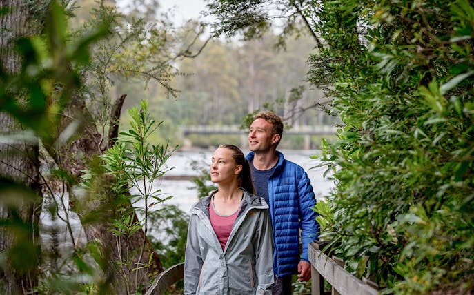 Couple walking through lush forest on a trail in Huon Valley, Tasmania.
