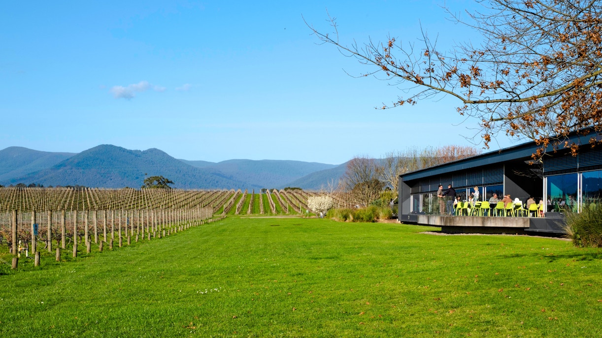 Vineyard and outdoor dining area in Yarra Valley, Melbourne, with mountain backdrop.