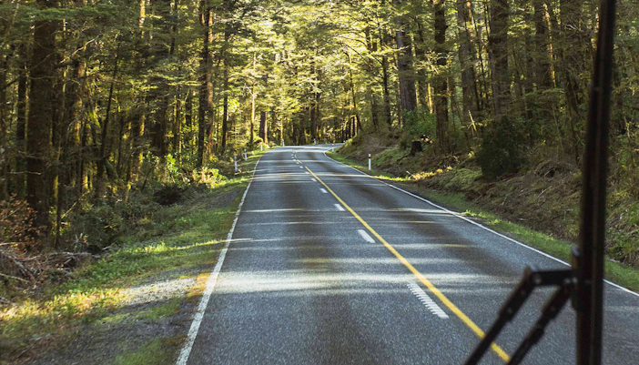 Unique flora and fauna