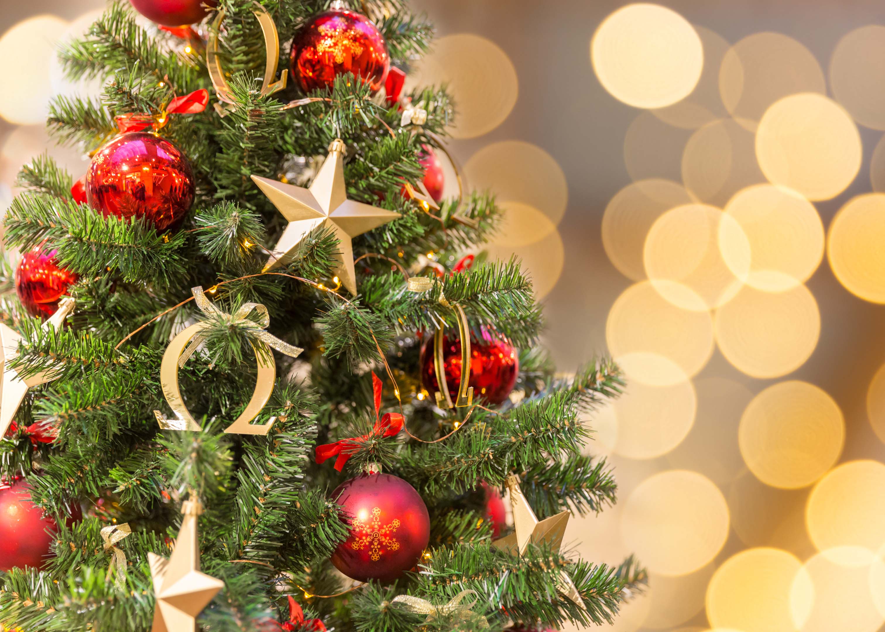 Christmas tree with red and gold ornaments, Buckingham Palace tour.