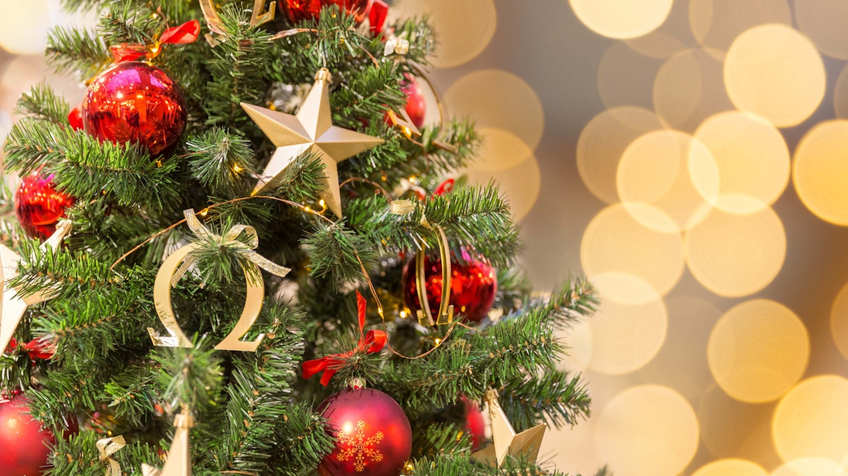 Christmas tree with red and gold ornaments, Buckingham Palace tour.