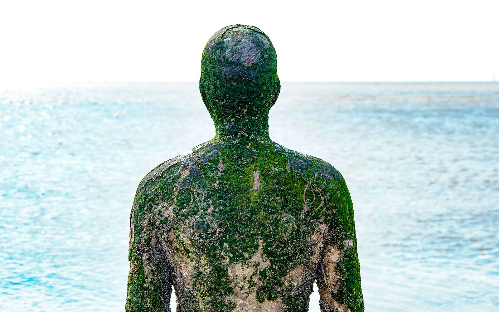 Cruise through years' worth of history