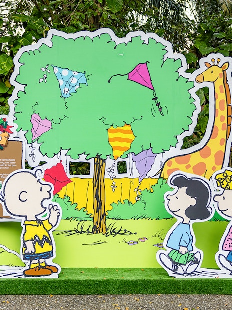 Giraffe display at Snoopy and his Beagle Scouts trails, Singapore Zoo.