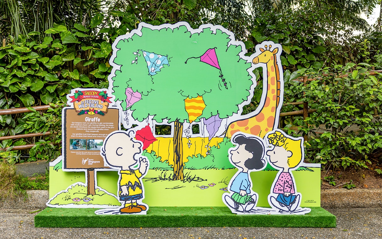 Giraffe display at Snoopy and his Beagle Scouts trails, Singapore Zoo.