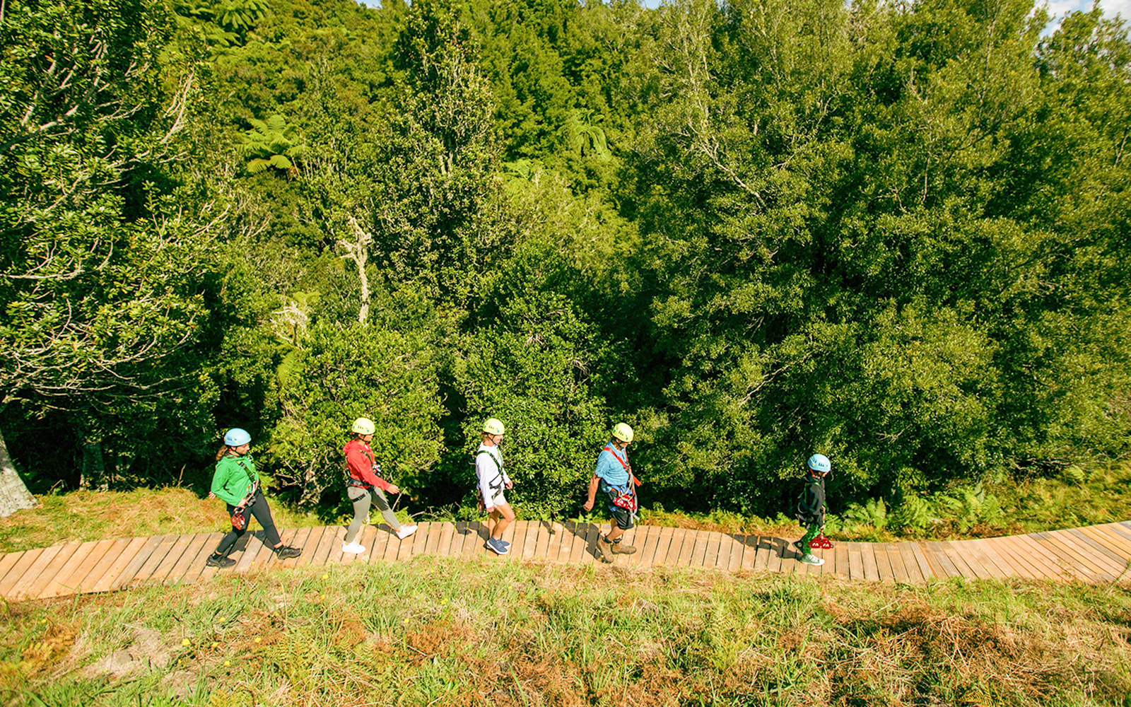 People walking on a wooden path in a forest during a Rotorua Ziplines tour.