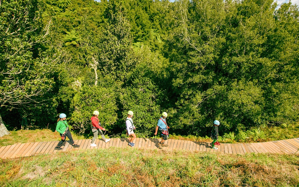 People walking on a wooden path in a forest during a Rotorua Ziplines tour.