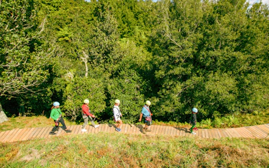 People walking on a wooden path in a forest during a Rotorua Ziplines tour.