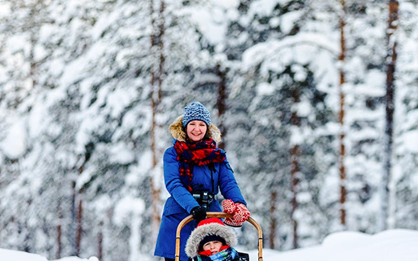 Woman on a sled with huskies in snowy Lapland forest.