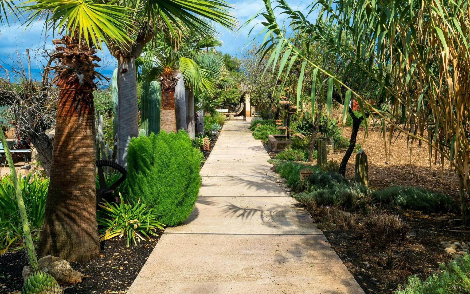 Pathway through lush gardens at a Majorca winery estate.