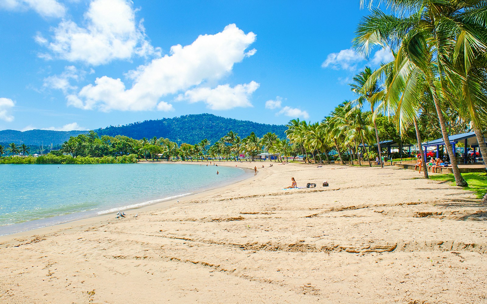 Sandy beach with palm trees and people relaxing at Airlie Beach, Australia.